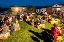 Sardinia: Vineyard Walk & 4-Wine Tasting with Local Food Pairing