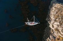 Sailing and Sailing Adventure in the Beagle Canal and Ushuaia