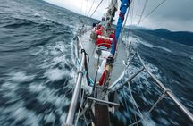 Sailing and Sailing Adventure in the Beagle Canal and Ushuaia