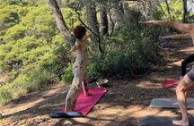 Dubrovnik Yoga and Sunset Elaphite Islands Boat Tour