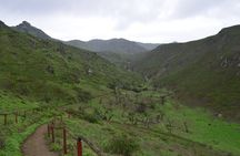 Lomas de Lachay Day Trip from Lima
