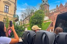 Krakow Cabrio Bus Tour with Pierogi and Vodka Tastings