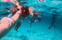 Catalina Paradise Island : Snorkeling, Virgin Beach and Open Bar