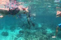 Catlina Island | Free Diving and Transportation