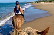 Beach and Pine Forest Horse Riding near Katakolo and Kourouta