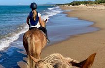 Sea Entry and Pine Forest Horse Riding near Katakolo and Kourouta
