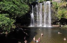 4 in 1 Sloths, Waterfall & Jungle Lagoon Safari at the Rainforest