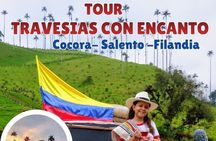 Private Tour Charm of Cocora Valley Salento and Philandia