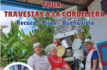 Private Tour Charm of Cocora Valley Salento and Philandia