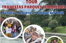 Private Tour Charm of Cocora Valley Salento and Philandia