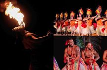 Oahu: Mauka Warriors Luau, Rum Tasting and Dole Plantation Tour