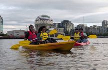 Guided Daytime Kayak Tour of False Creek