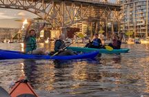 Guided Daytime Kayak Tour of False Creek