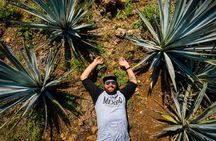 Private One Day Adventure Tour in Tequila and La Fortaleza Distillery