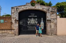 Private One Day Adventure Tour in Tequila and La Fortaleza Distillery