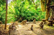 Ubud: Monkey Forest, Rice Terrace, Elephant Cave & Waterfall Tour