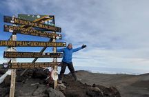5 Day Kilimanjaro Umbwe Route Joining Group Trek