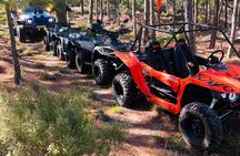Cape Town Elgin Valley Quadbiking to Waterfall