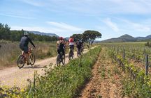 E-Mountain Bike Tour Cassis Provence