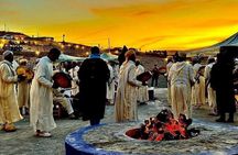 Sunset Dinner in Agafay with show and Transport