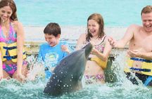 Enjoy Our Tours Dolphin Explorer Park