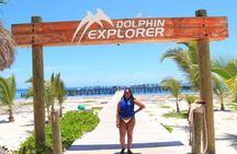 Enjoy Our Tours Dolphin Explorer Park