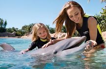 Enjoy Our Tours Dolphin Explorer Park