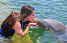 Enjoy Our Tours Dolphin Explorer Park