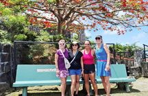 Grenada Forts, Rum, Spices, Chocolate and Beach Tour