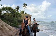 Vieques Horseback Riding with Isla Nena Trail Rides