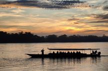 2 Days Adventure Tambopata vip and wild animals