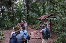 2 Days Adventure Tambopata vip and wild animals