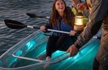 Clear Kayak and Glow Kayak Adventures