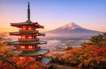 Mt Fuji Early Morning Photo Spot Tour with English Guide