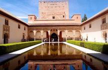 Alhambra and Nasrid Palace Entry Assistance and Tourist Train