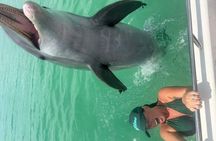 Private Shell Island Dolphin and Snorkeling Tour