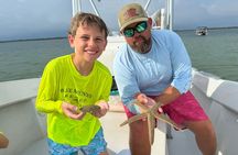 Private Shell Island Dolphin and Snorkeling Tour