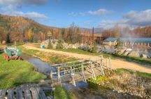 Chena Hot Springs Day Tour with Ice Museum Admission