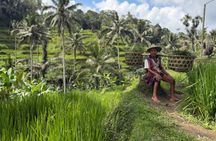 Best Full Day Of Ubud Private Guided Tour