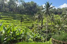 Best Full Day Of Ubud Private Guided Tour