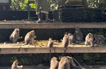 Best Full Day Of Ubud Private Guided Tour