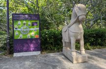 Relaxing Walking Tour at Singapore Gardens by the Bay