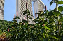 Marina Bay Sands & SkyPark Tour: Luxury, Architecture and Gardens