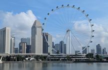 Relaxing Walking Tour at Singapore Gardens by the Bay