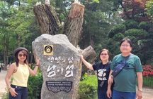 Customized Private Nami island with optional tour