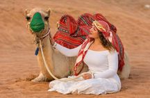 Dubai: Luxury Red Dune Desert Safari with VIP Camp and BBQ Dinner