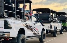 Yala National Park Special Safari Tour From Hambanthota Port