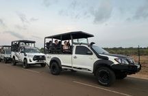 Yala National Park Special Safari Tour From Hambanthota Port