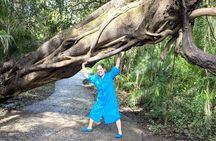 Full Victoria Falls Experience – Private & Slow-Paced