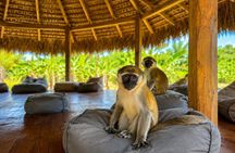Punta Cana Monkeyhouse and Adventure Horseback Ride